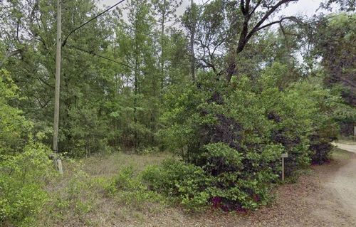 10013 N Holyoak Ter, Dunnellon, FL, 34433-2441 | Card Image