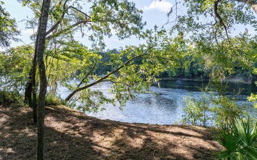 TBD 198th Trl, O Brien, FL, 32071 | Card Image