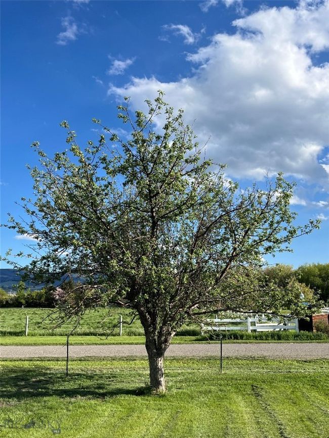 77 First Rd, House other with 5 bedrooms, 3 bathrooms and null parking in Whitehall MT | Image 9