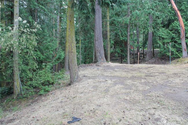 85 Quinault Loop, Home with 0 bedrooms, 0 bathrooms and null parking in Port Townsend WA | Image 12