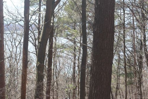 lot 5 Crystal Ave, Beulah, MI, 49617 | Card Image