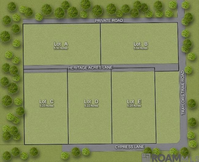 26.85 Acres Heritage Acres Ln, Home with 0 bedrooms, 0 bathrooms and null parking in Robert LA | Image 4