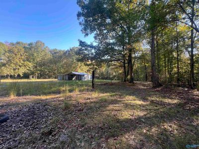 1484 County Road 326, House other with 3 bedrooms, 1 bathrooms and null parking in Moulton AL | Image 3