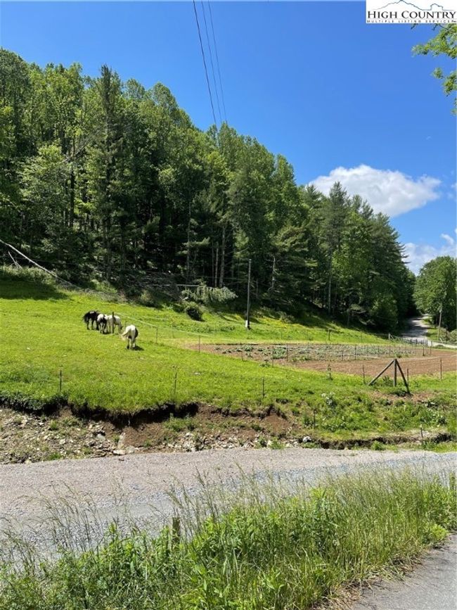 Valley Below | Image 28
