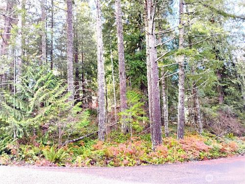 78 Fir Park Ln, Packwood, WA, 98361 | Card Image