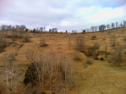 00 Big Springs Rd, Eidson, TN, 37731 | Card Image