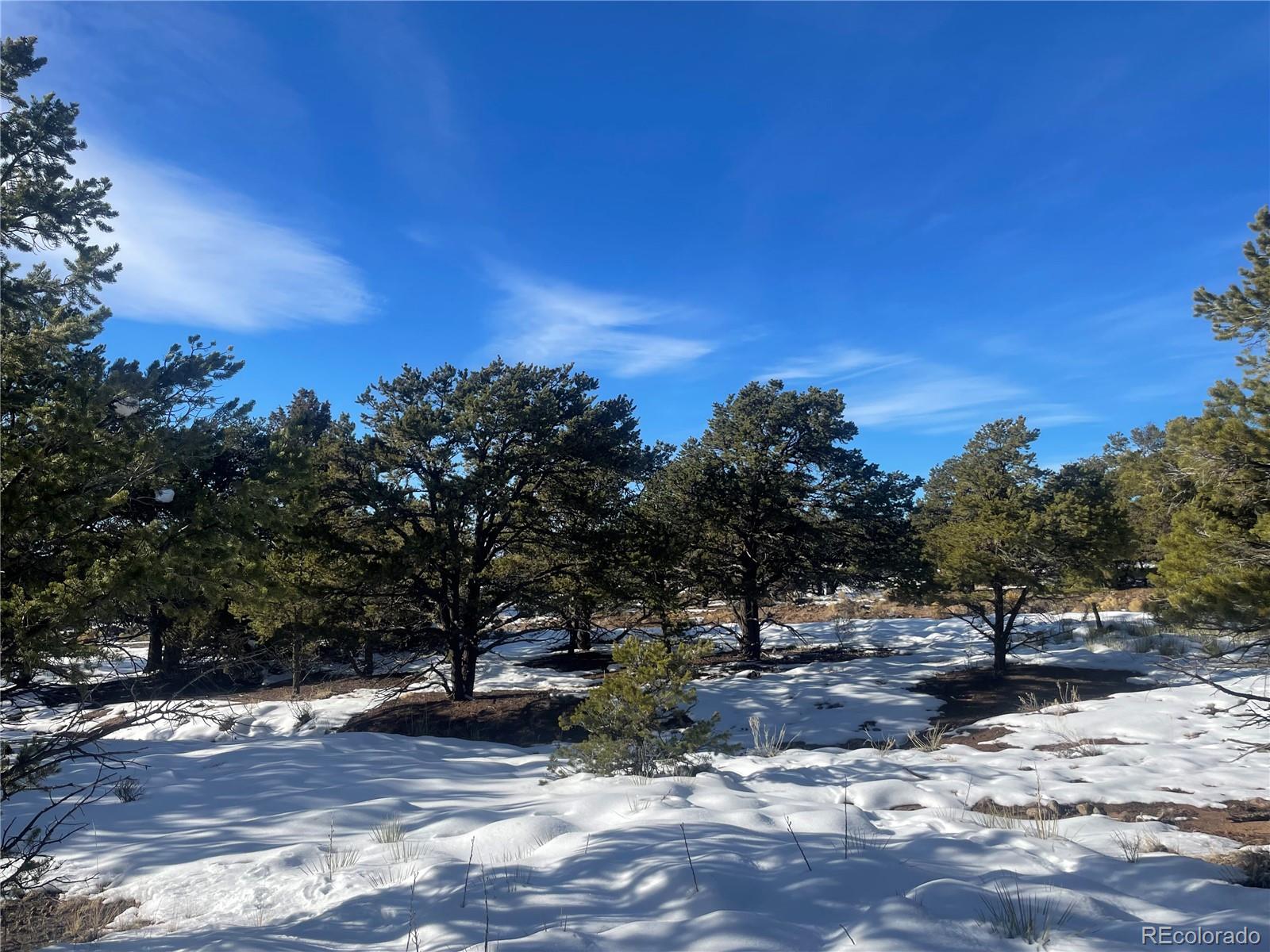 Land in Crestone 4