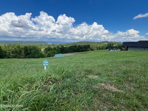 Lot 53 Cottonwood Ct, Decatur, TN, 37322-3003 | Card Image