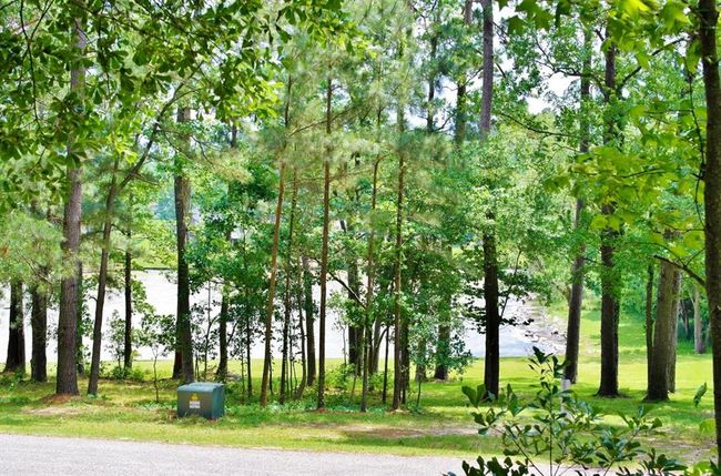 695 Lake Shore Dr, Home with 0 bedrooms, 0 bathrooms and null parking in Coldspring TX | Image 5