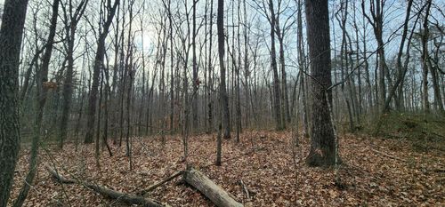 0 Hickory Hollow Sub Road, Tracy City, TN, 37387 | Card Image