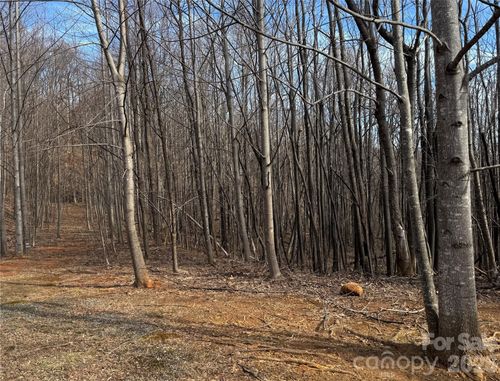 179-99999 Chesterfield Dr, Mill Spring, NC, 28756 | Card Image