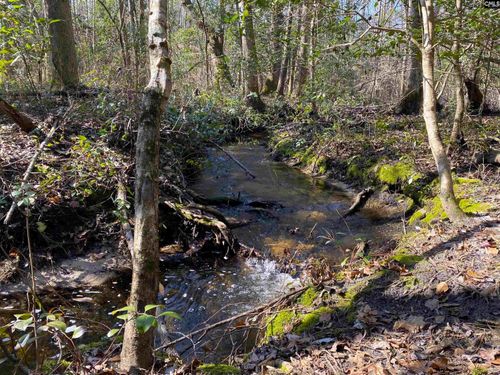 TBD 1 Juniper Road, Barnwell, SC, 29843 | Card Image