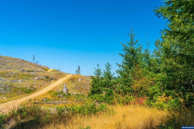 0 Bald Mountain Rd, Home with 0 bedrooms, 0 bathrooms and null parking in Beaver OR | Image 28