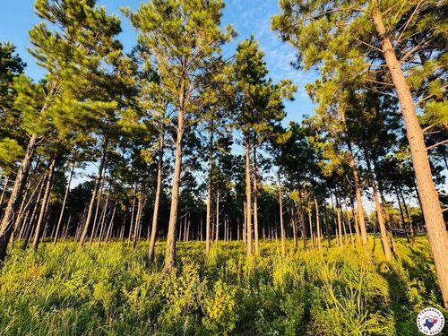 TBD 3659, Queen City, TX, 75572 | Card Image