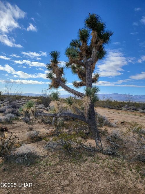 2328 S Tom Mix Rd, Yucca, AZ, 86438 | Card Image