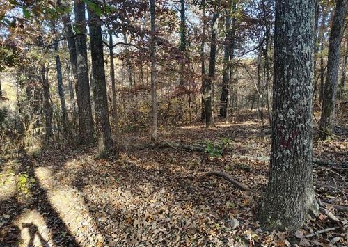 000 000 State Route Yy, Caulfield, MO, 65626 | Card Image