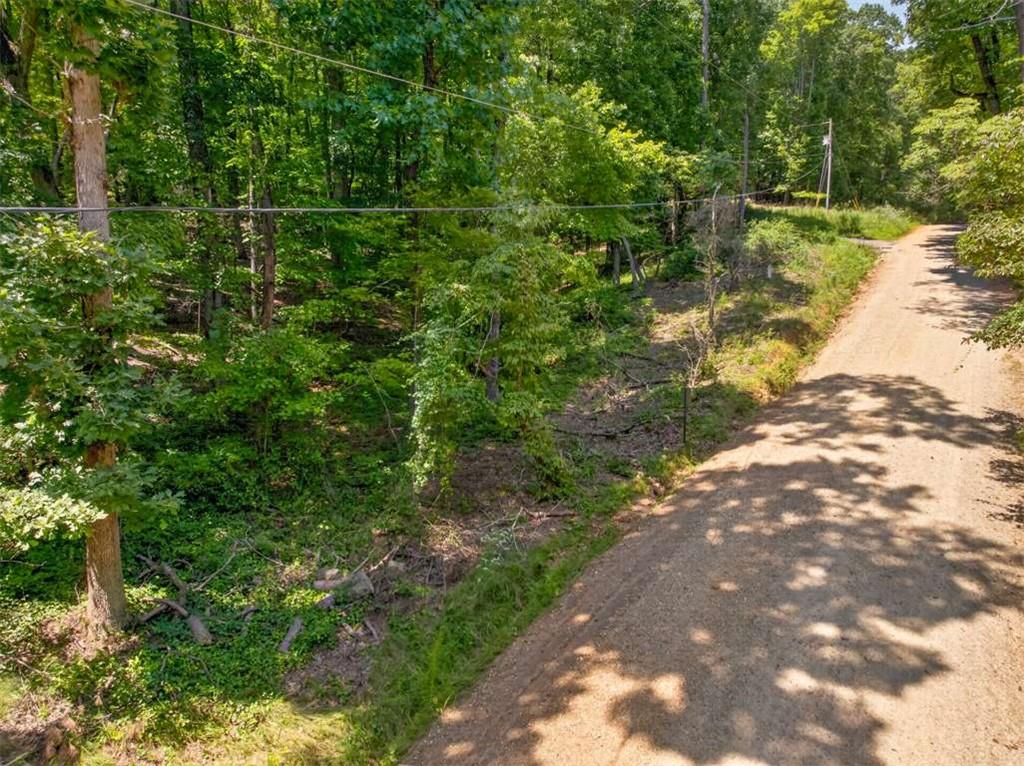 Land in Clarkesville 5
