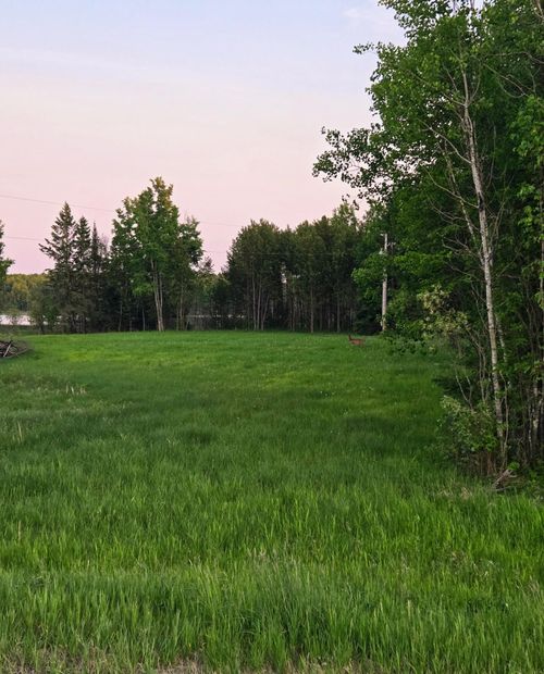 38093 County Road 45, Marcell, MN, 56657-2201 | Card Image