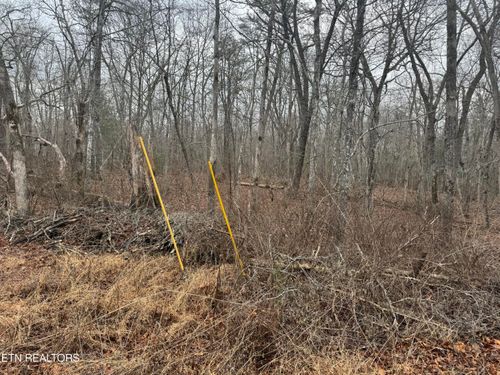 4011 Klamath Cir, Crossville, TN, 38572-6764 | Card Image