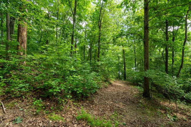 0 Valley Rim Dr, Home with 0 bedrooms, 0 bathrooms and null parking in Chickamauga GA | Image 9