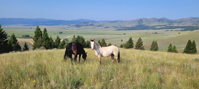 456 Boulder Frontage Rd, House other with 2 bedrooms, 2 bathrooms and null parking in Boulder MT | Image 39