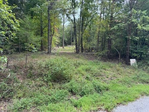 146 Till Rd, Hohenwald, TN, 38462-5325 | Card Image