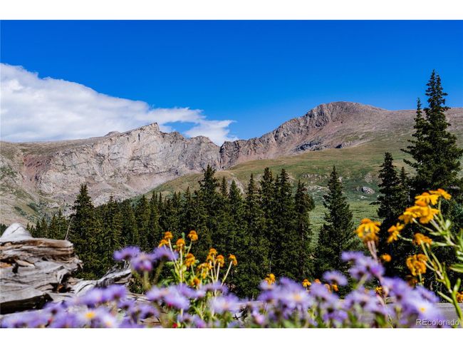 102 - 2152 Bighorn Trl, House attached with 1 bedrooms, 1 bathrooms and null parking in Georgetown CO | Image 27