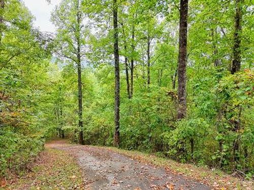 Lot 1 Skyview Dr, Hayesville, NC, 28904-9393 | Card Image