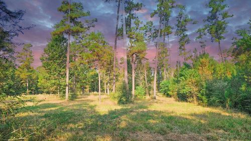 TBD Gregory Ln, New Waverly, TX, 77358 | Card Image