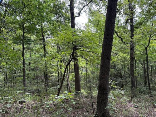 Tract 3/4 Terrapin Road, Harrison, AR, 72601 | Card Image