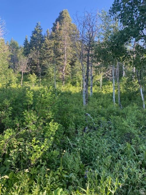 d155-969 W Deep Forest Rd, Wanship, UT, 84017-6820 | Card Image