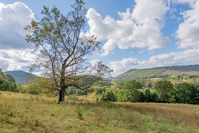 214 Comers Creek Rd, Home with 0 bedrooms, 0 bathrooms and null parking in Sugar Grove VA | Image 42