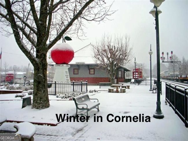 266 Short Ave, House other with 3 bedrooms, 3 bathrooms and null parking in Cornelia GA | Image 48