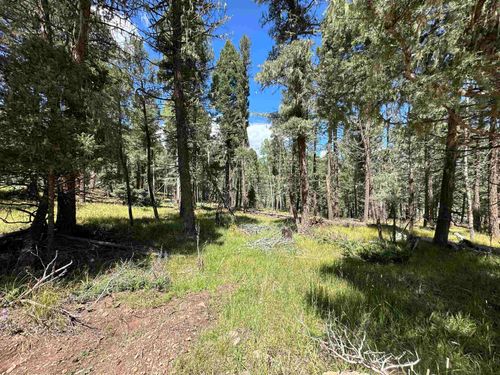 10 Alpine Lake Ter, Angel Fire, NM, 87710 | Card Image