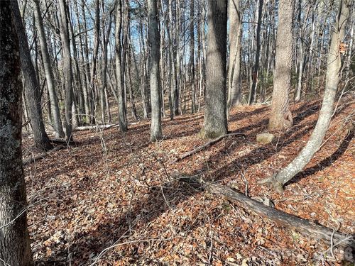 220 Max Metcalf Rd, Swannanoa, NC, 28778-9197 | Card Image