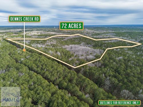 0 Dennis Creek Rd, Talbotton, GA, 31827 | Card Image