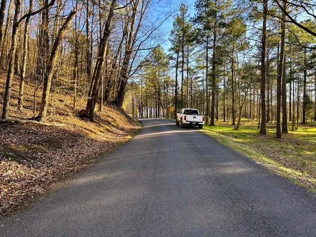 4 Hiwassee Rd, Home with 0 bedrooms, 0 bathrooms and null parking in Calhoun TN | Image 6
