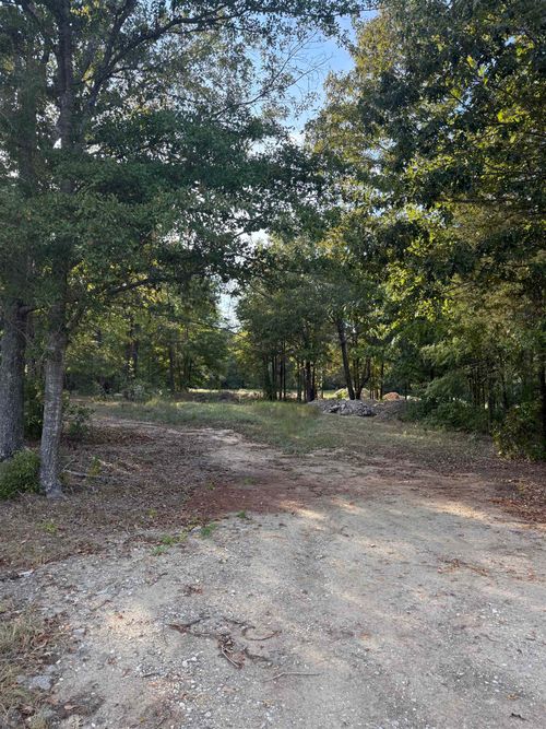 tract-1-265 Private Road 1239, Marshall, TX, 75672 | Card Image