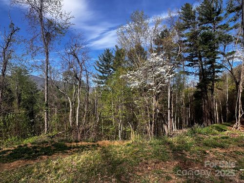 5a-0 Little Creek Dr, Canton, NC, 28716 | Card Image