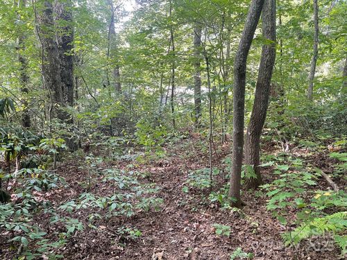 TBD Rattlesnake Mountain Rd, Black Mountain, NC, 28711 | Card Image