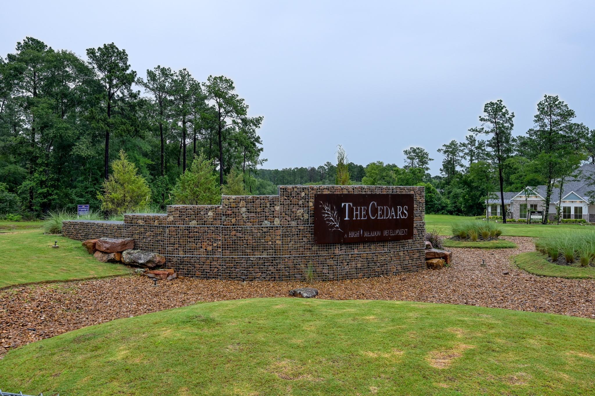 Land in Plantersville 4