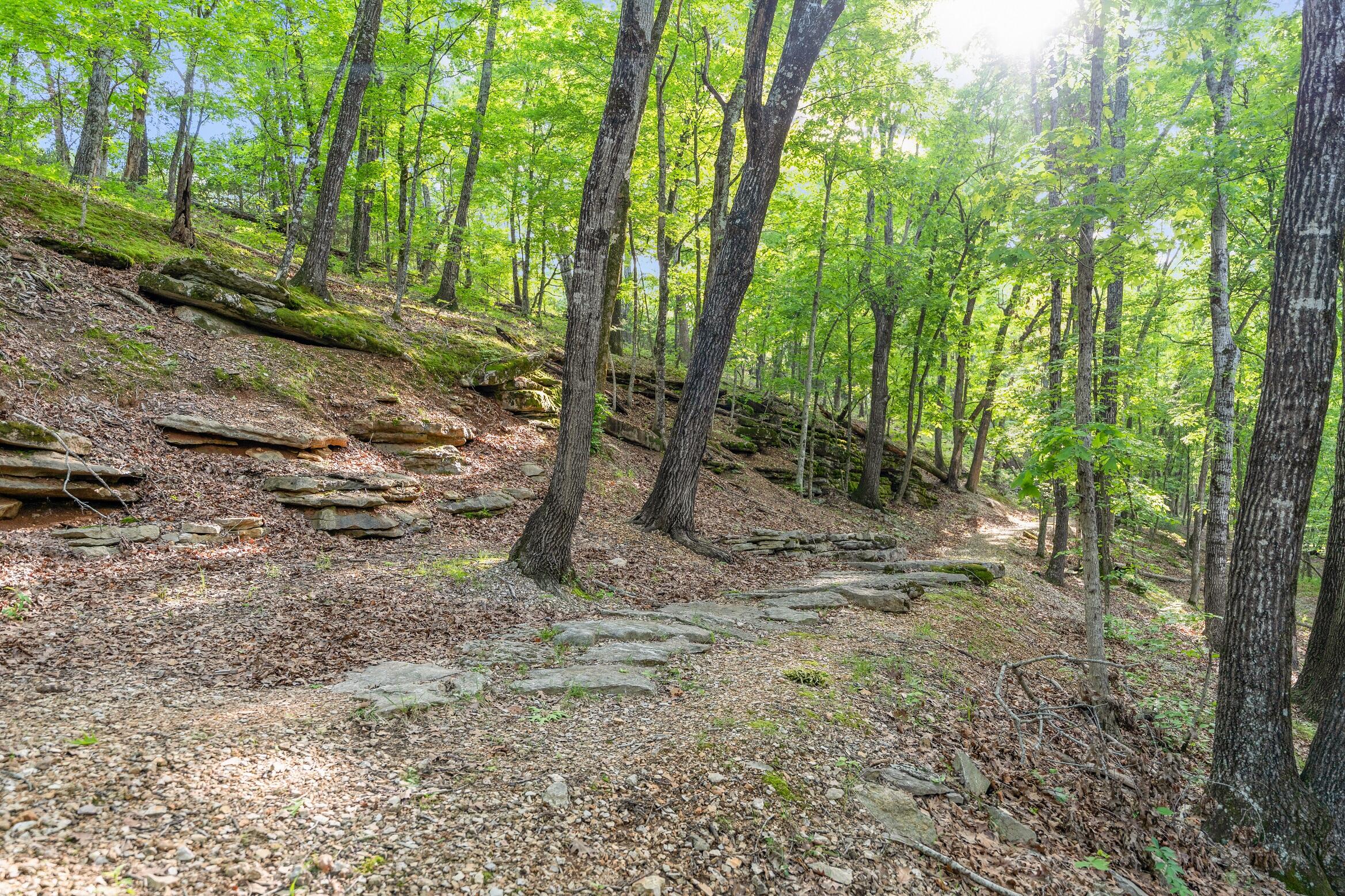Land in Branson 3