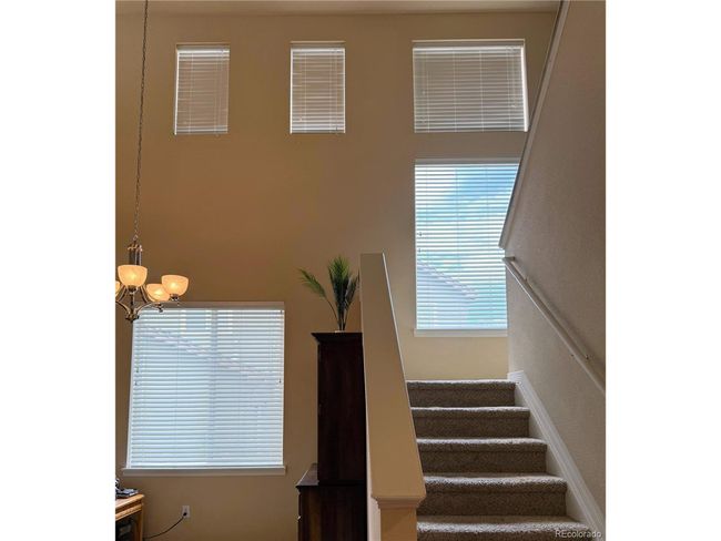 7407 Pimlico Dr, House other with 4 bedrooms, 3 bathrooms and null parking in Windsor CO | Image 17