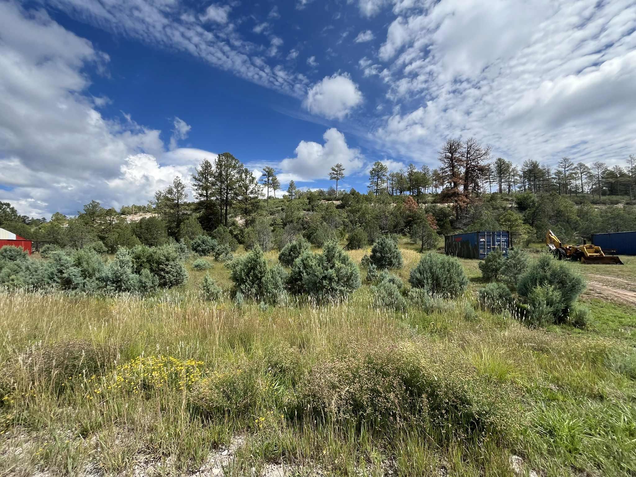 Land in Timberon 3