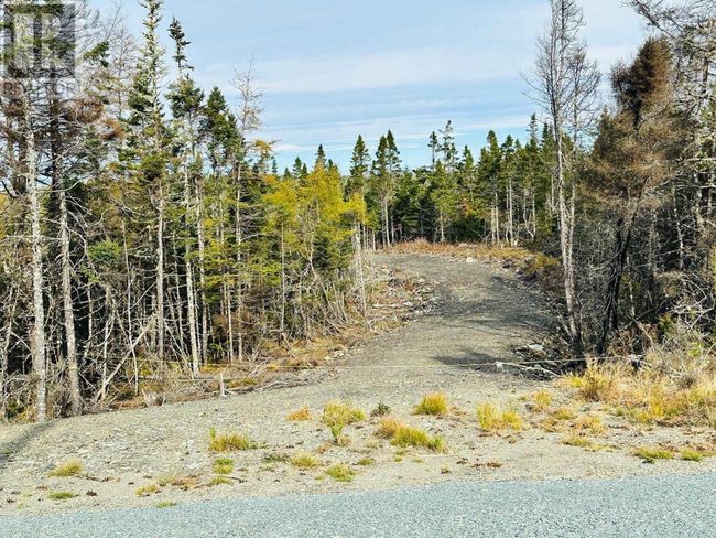 4 W Liscomb Point Rd, Home with 0 bedrooms, 0 bathrooms and null parking in Liscomb NS | Image 21