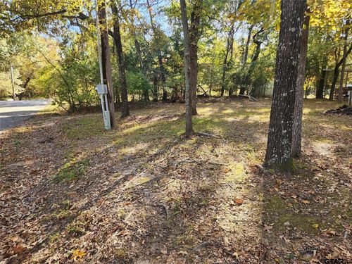 Lots154 155 156 Sun Eagle Bay, Yantis, TX, 75497 | Card Image