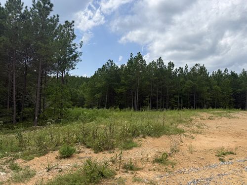 0 Warren Proctor Ln, Erin, TN, 37061 | Card Image