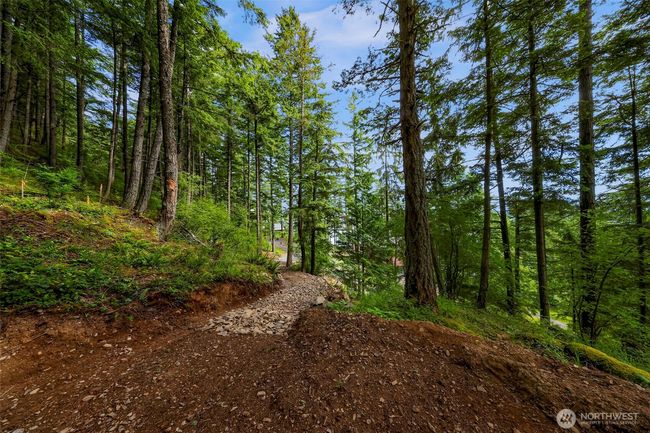 3071 Hales Passage Dr, Home with 0 bedrooms, 0 bathrooms and null parking in Lummi Island WA | Image 9