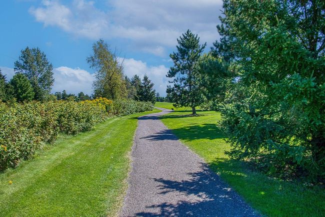 N9240 Hwy 55, Home with 0 bedrooms, 0 bathrooms and null parking in Pickerel WI | Image 29