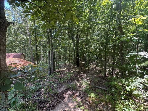 Lot 59 Posy Mountain Dr, Garfield, AR, 72732 | Card Image